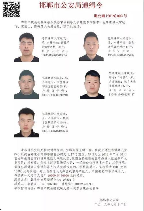 魏县最新爆料消息今天,最新爆料揭示惊人真相,事件进展追踪